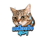 855841720