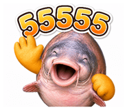 855843114