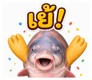 855843117