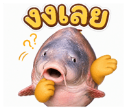 855843119