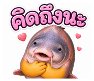 855843122