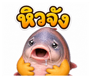 855843126