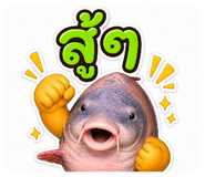 855843128