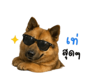 855843834