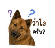 855843837
