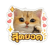 855844165
