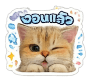855844172