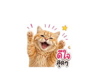 855844257