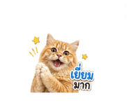 855844258