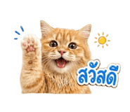 855844260