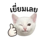 855845328