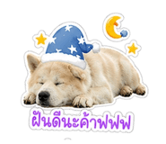 855845546
