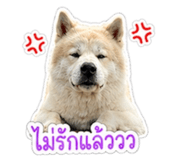 855845552