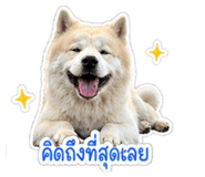 855845560
