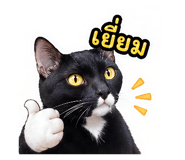 855846276