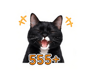 855846286
