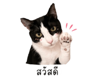 855850737