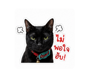 855853629