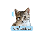 855854700