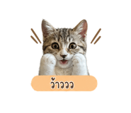855854702