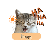 855854709