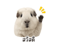 855854750