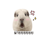 855854755