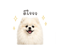 855856145