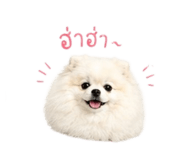 855856166