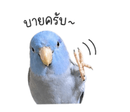855856184