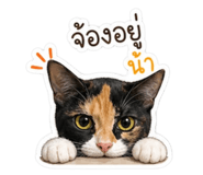 855856730
