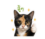 855856732