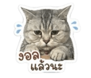 855856825