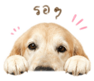 855857823