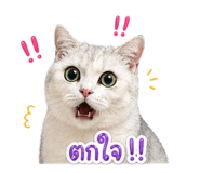 855858724