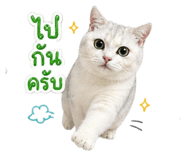 855858727