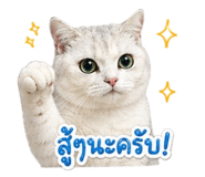 855858730