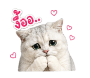 855858731