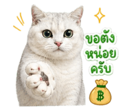 855858734