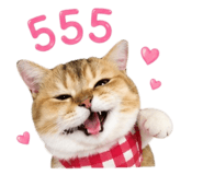 855858738