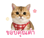 855858750