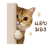 855858751