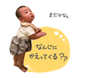 855860447