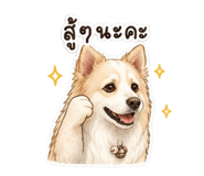 855860624
