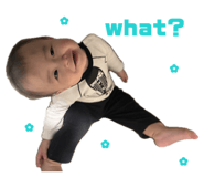 855860686