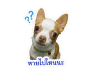 855860727