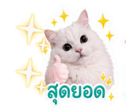 855860787