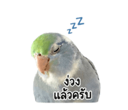 855861650