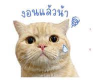 855861733