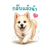 855864022